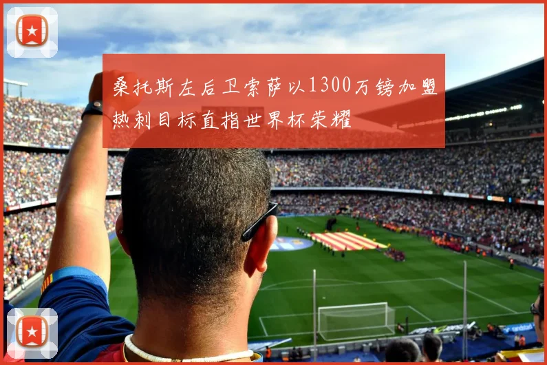 桑托斯左后卫索萨以1300万镑加盟热刺目标直指世界杯荣耀