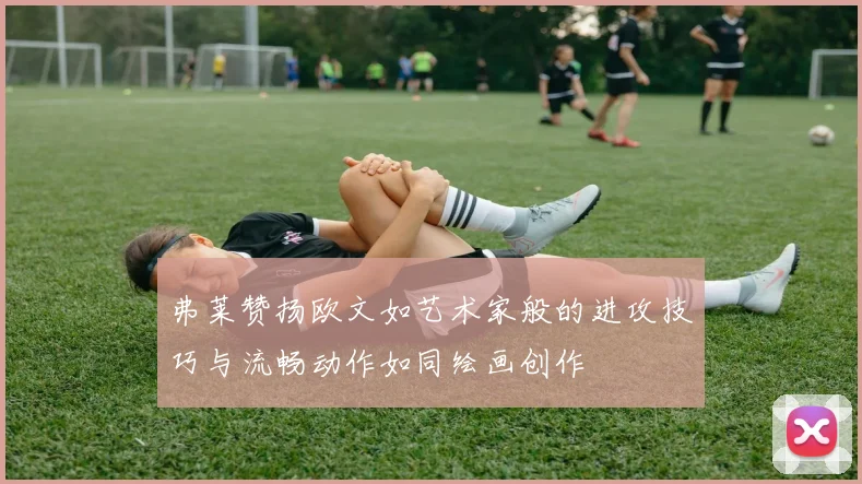 弗莱赞扬欧文如艺术家般的进攻技巧与流畅动作如同绘画创作