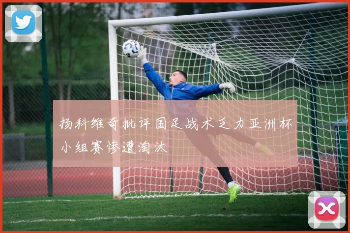 扬科维奇批评国足战术乏力亚洲杯小组赛惨遭淘汰